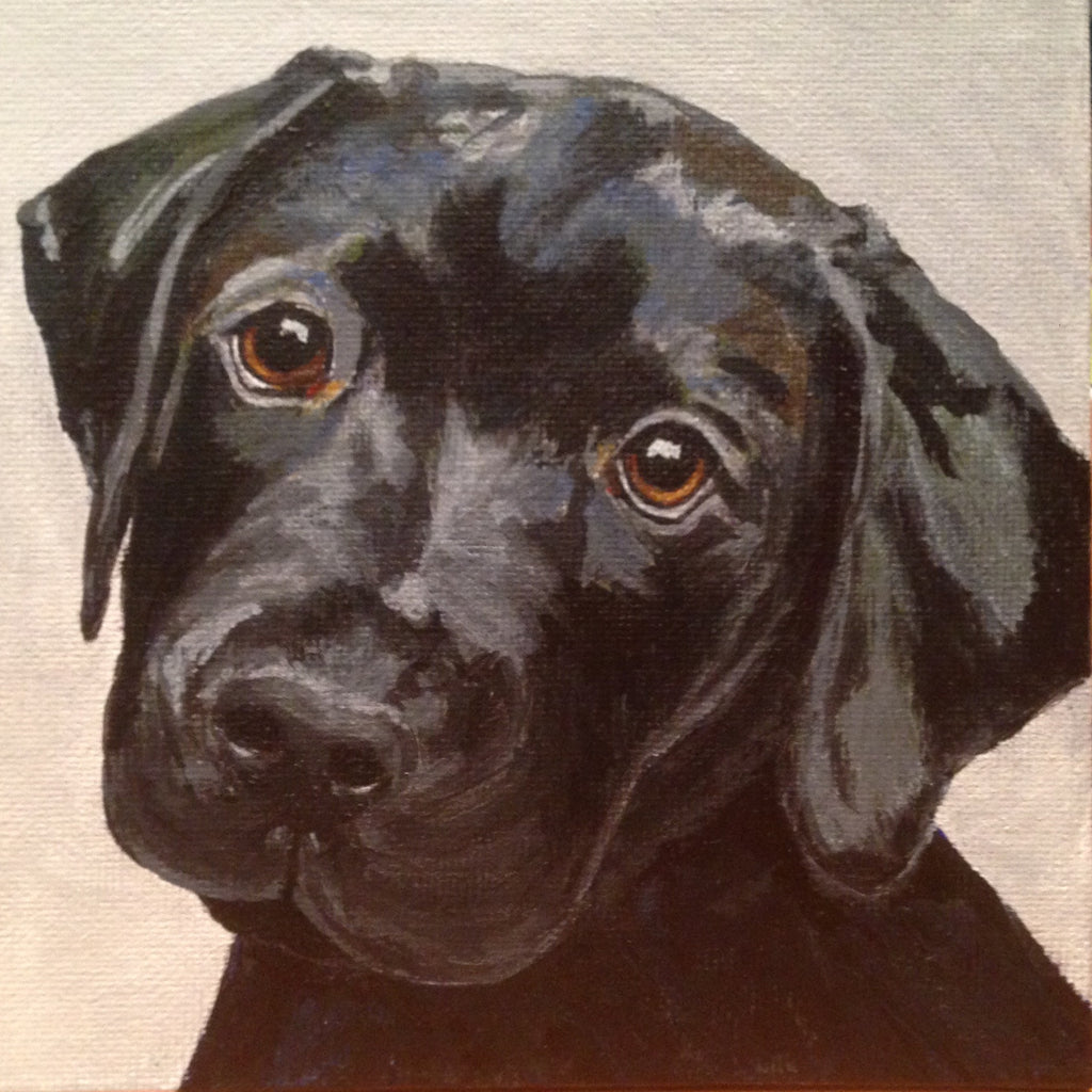 Black Lab - 5"x5" Available in my Print section - Original is SOLD
