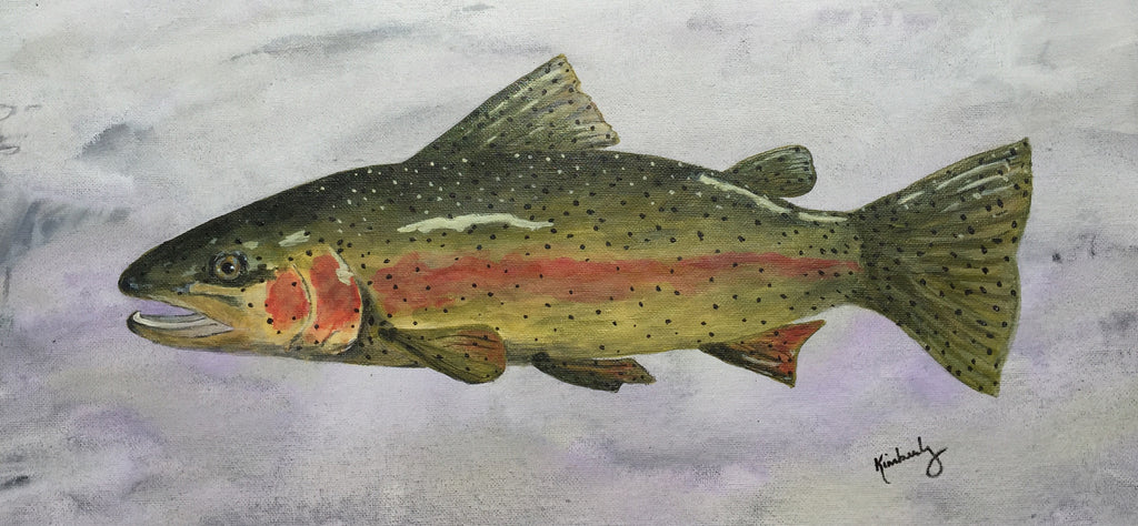 Arkansas Trout - 14"x10" Original is SOLD - contact me for art prints and pricing!